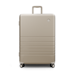 Hybrid Check-In Large