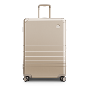 Aluminum Check-In Large